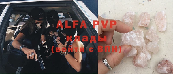 прущие грибы Аркадак