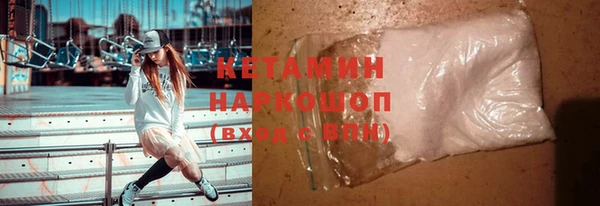 прущие грибы Аркадак