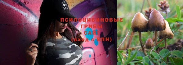 прущие крисы Армянск