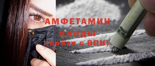 прущие грибы Аркадак