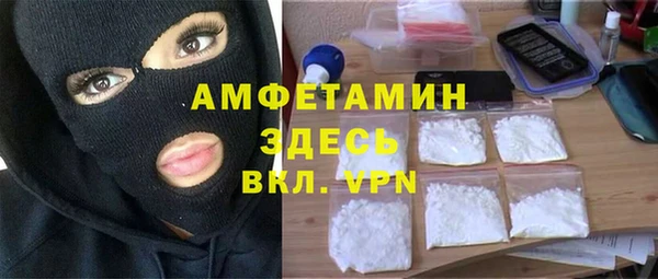 прущие грибы Аркадак